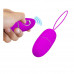 SELKIE VIBRATING EGG WITH REMOTE CONTROL