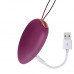 ENGILY ROSS GARLAND 2.0 VIBRATING EGG REMOTE CONTROL USB INJECTED LIQUIFIED SILICONE